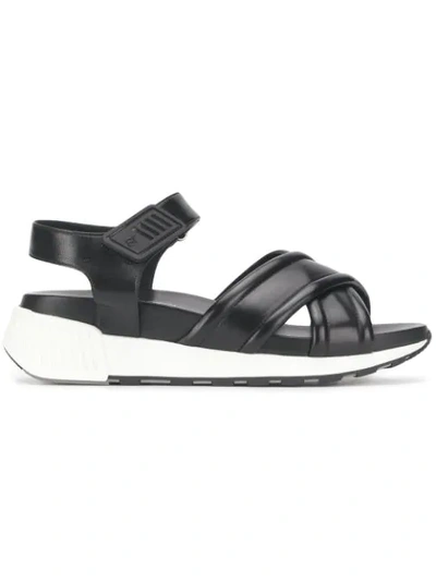 Shop Sergio Rossi Flat Sandals In Nero 1000