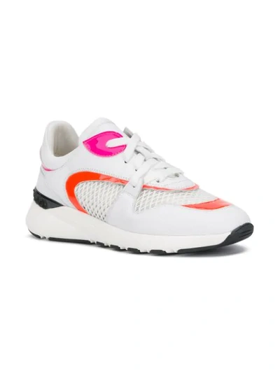 Shop Casadei Panther Fluo Sneakers In White