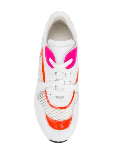 Shop Casadei Panther Fluo Sneakers In White