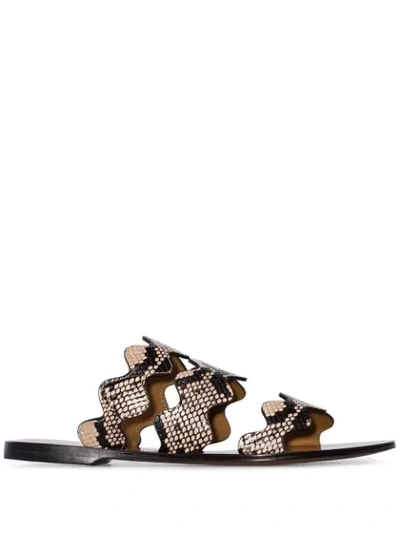 Shop Chloé Lauren Snake Printed Sandals In Eternal Grey