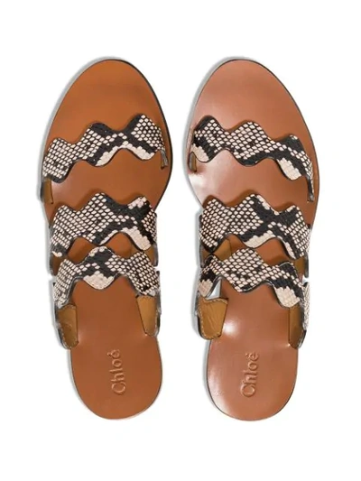 Shop Chloé Lauren Snake Printed Sandals In Eternal Grey