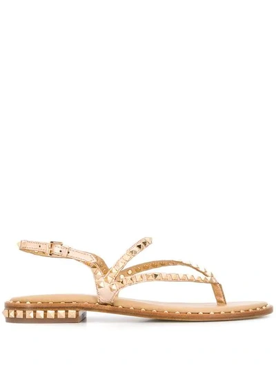 Shop Ash Pyramid Stud Sandals In Gold