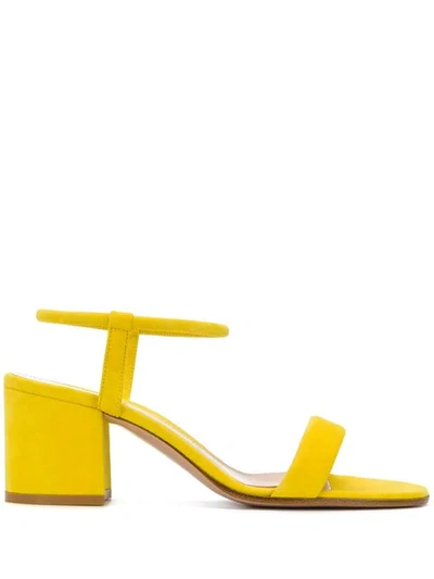 Shop Gianvito Rossi Nikki Sandals In Yellow