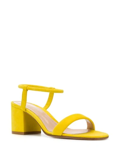 Shop Gianvito Rossi Nikki Sandals In Yellow
