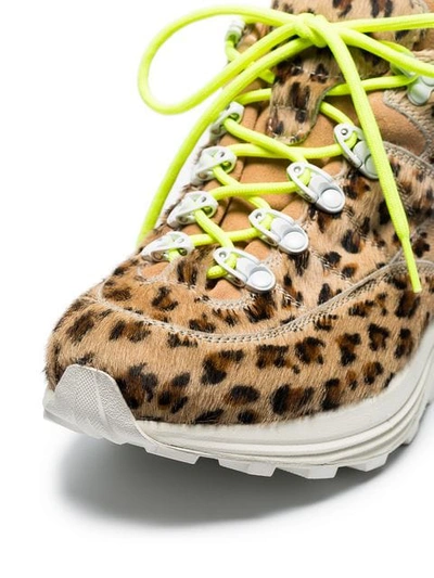 Shop Diemme Brown Monte Grappa Leopard Print Ponyskin Sneakers