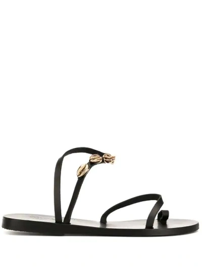 Shop Ancient Greek Sandals Alpi Eleftheria Shell Sandals In Black