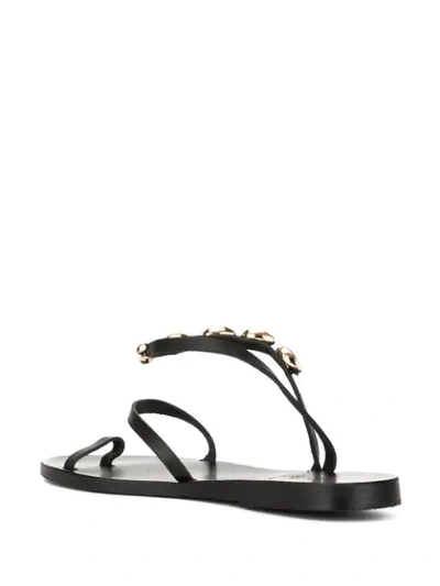 Shop Ancient Greek Sandals Alpi Eleftheria Shell Sandals In Black