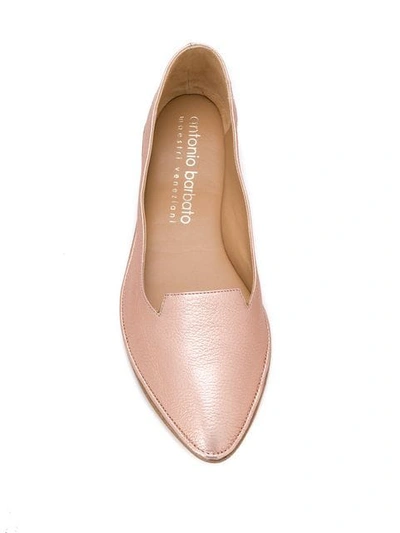 Shop Antonio Barbato Pointed Ballerina Shoes In Pink