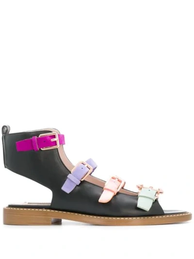 Shop Paula Cademartori Multicoloured Buckle Strap Sandals In Pink