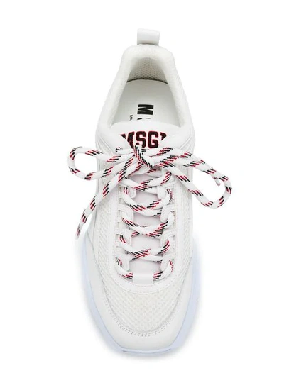 Shop Msgm Bold Logo Sneakers In White