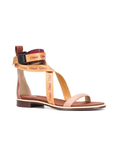 Shop Chloé Logo Strap Sandals In Pink