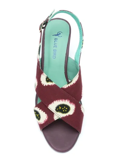Shop Blue Bird Shoes Printed Leather Sandals In Purple