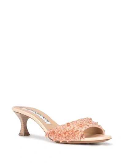 Shop Tabitha Simmons X Brock Collection Beaded Kitten Heel Mules In Pink