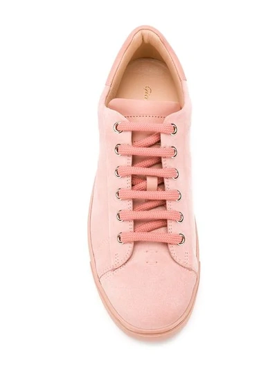 Shop Gianvito Rossi Lace-up Sneakers In Pink