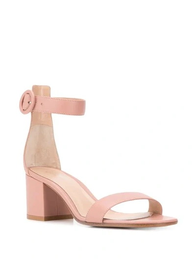 Shop Gianvito Rossi Dahlia Slingback Sandal In Pink