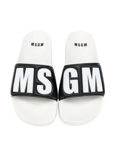 Shop Msgm Logo Slides In Black