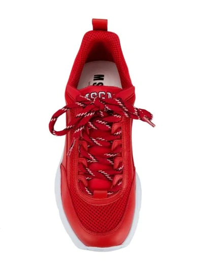 Shop Msgm Logo Print Sneakers In Red