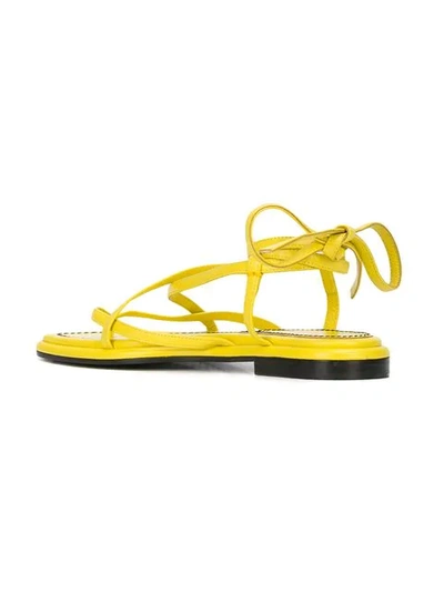 Shop Proenza Schouler Strappy Flat Sandals In Yellow