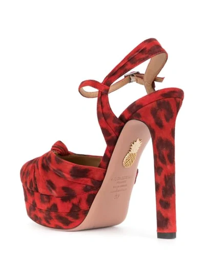 Shop Aquazzura Leopard Print Sandals In Red
