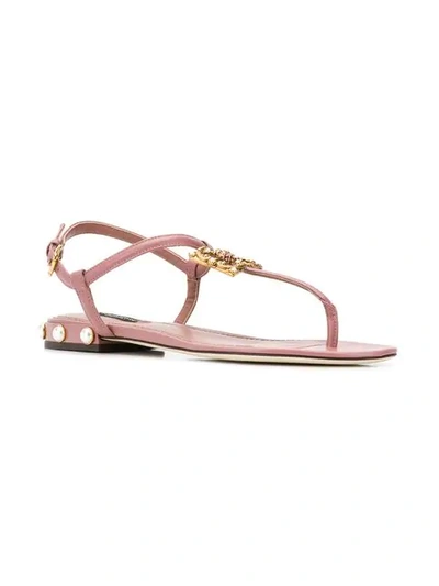 Shop Dolce & Gabbana Dg Amore Thong Sandals In Pink