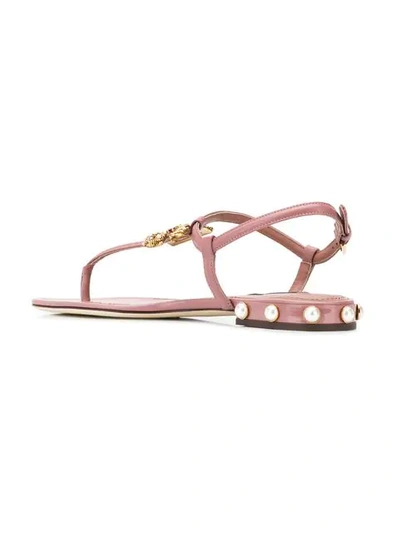 Shop Dolce & Gabbana Dg Amore Thong Sandals In Pink