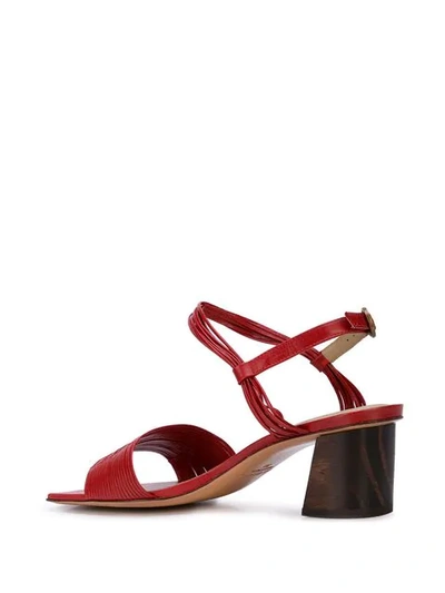 Shop Mari Giudicelli Vitta Sandals In Red