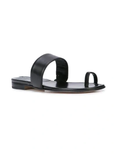 Shop Manolo Blahnik Messen Sandals In Black