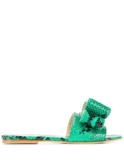 Shop Polly Plume Lola Bow Sandals In Green