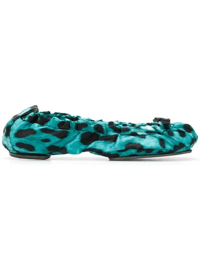 Shop Dolce & Gabbana Leopard Print Ballerinas In Blue