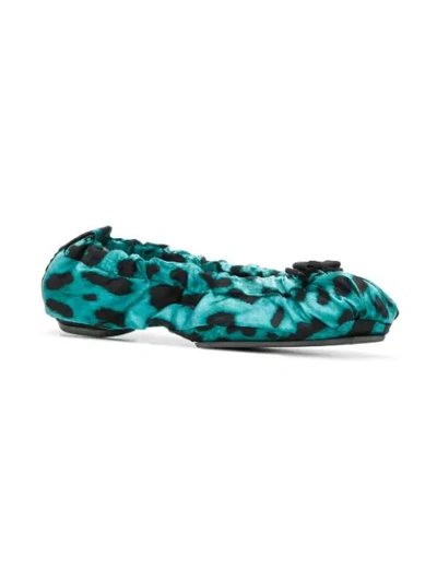 Shop Dolce & Gabbana Leopard Print Ballerinas In Blue