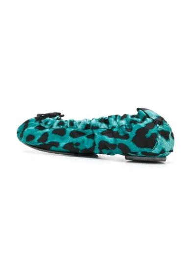 Shop Dolce & Gabbana Leopard Print Ballerinas In Blue