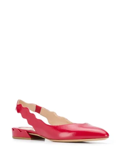 Shop Chloé Scalloped Slingback Ballerina Shoes In Red