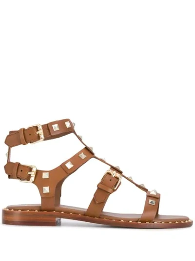 Shop Ash Studded Caged Sandals In Brown