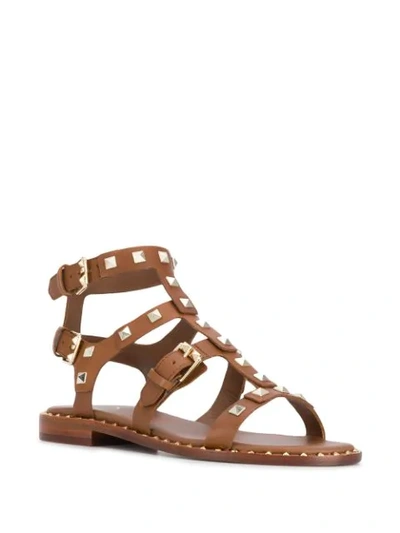 Shop Ash Studded Caged Sandals In Brown