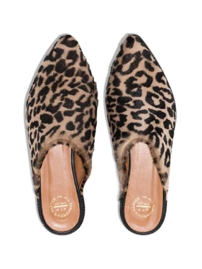 Shop Atp Atelier Anzi Leopard Print Slippers In Brown