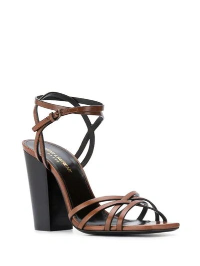 Shop Saint Laurent Oak Crisscross Sandals In Brown