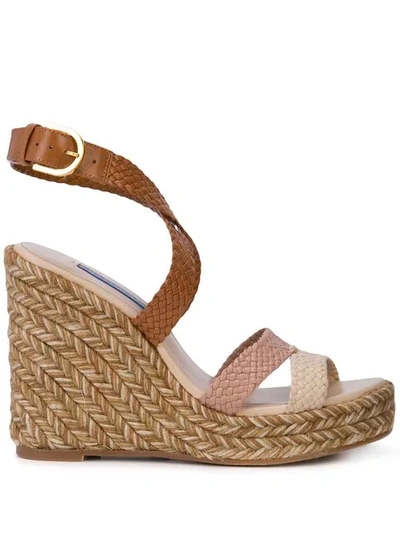 Shop Stuart Weitzman Elsie Wedge Sandals In Brown