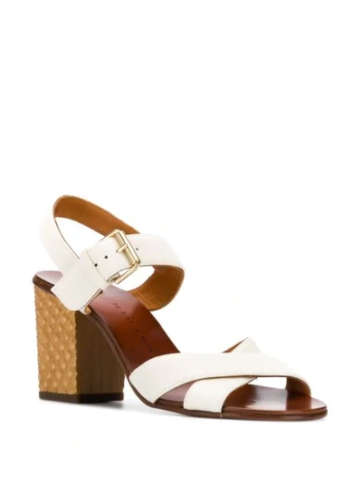 Shop Chie Mihara Hael Buckled Sandals In White