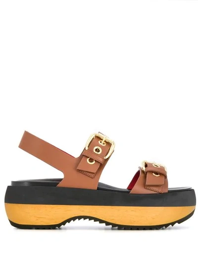 Shop Marni Platform Sandals In Brown