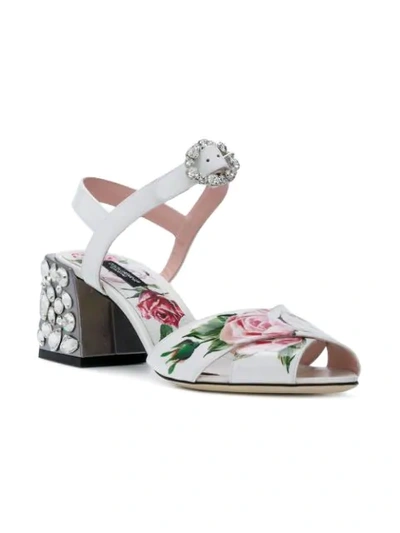 Shop Dolce & Gabbana Keira Sandals In White