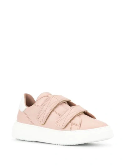 Shop Philippe Model Touch-strap Low-top Sneakers In Pink
