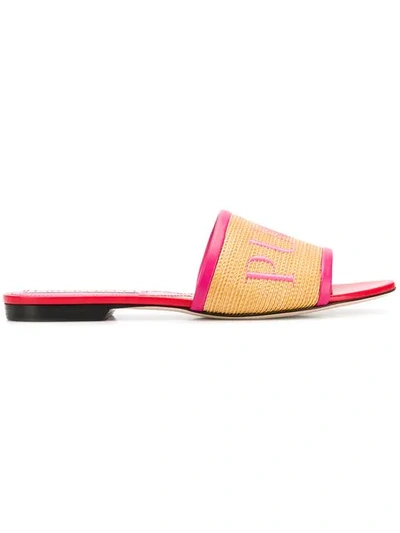 Shop Emilio Pucci Logo Embroidered Raffia Flat Sandals In Neutrals