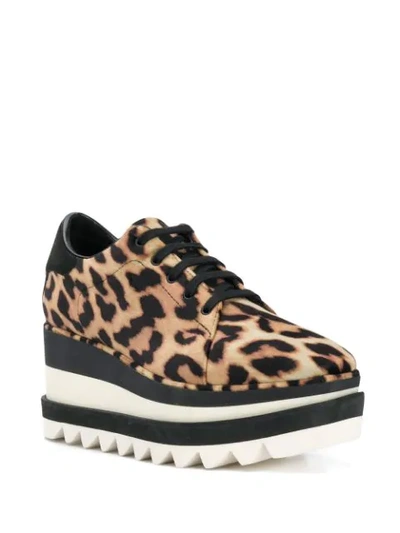 Shop Stella Mccartney Elyse Sneakers In Brown