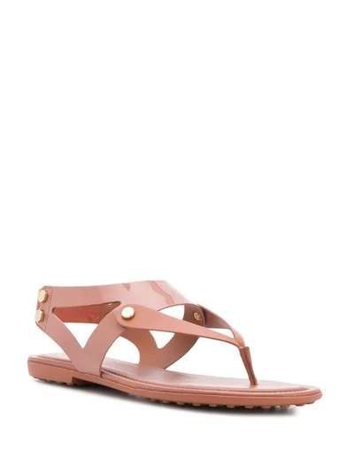 Shop Tod's Thong Sandals In Pink