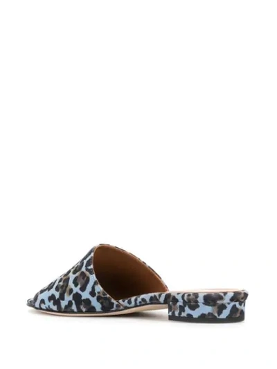 Shop Paris Texas Leopard Print Sandals In Blue