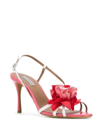 Shop Tabitha Simmons Peony Sandals In Pink