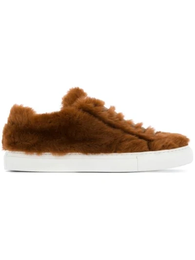 Shop Jil Sander Furry Lace In Brown