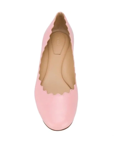 Shop Chloé 'lauren' Ballerinas - Rosa In Pink