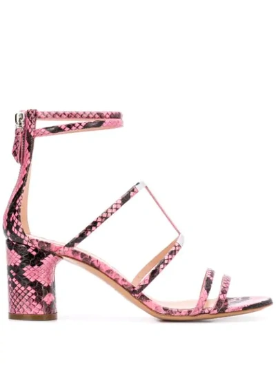 Shop Casadei Block Heel Sandals In Pink