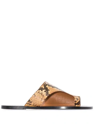 Shop Atp Atelier Rosa Snake Print Thong Sandals In Brown